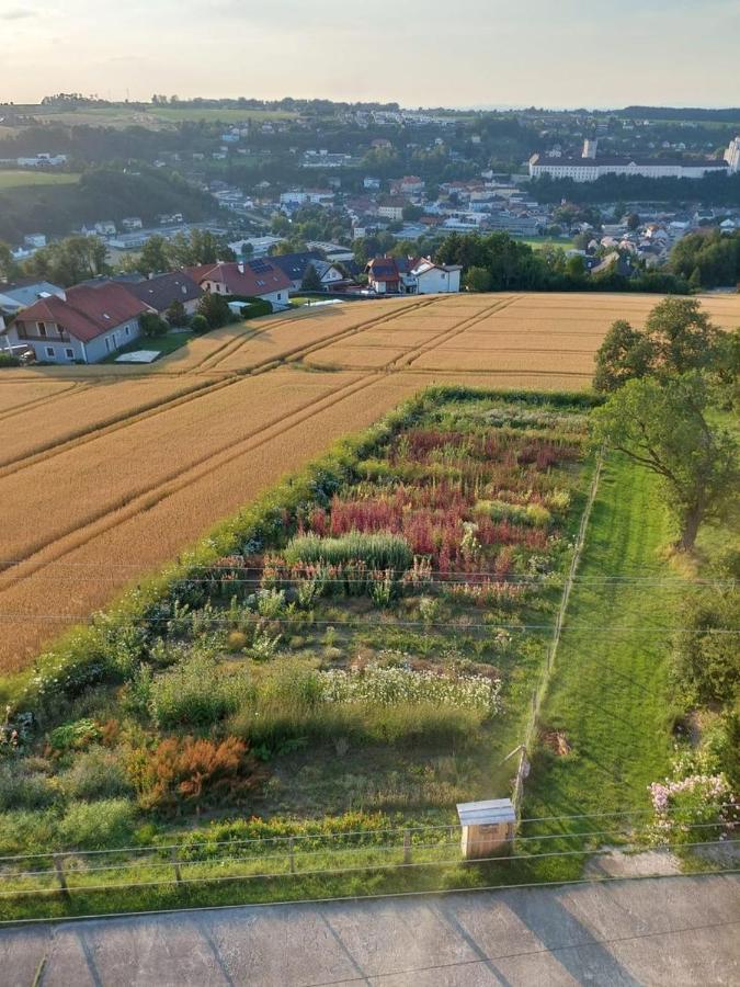 Wildkraut'S Kraeuterbauernhof - Ferienwohnung Kremsmunster Bagian luar foto